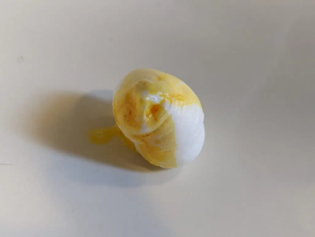 漂白水變色的生髮慕斯。